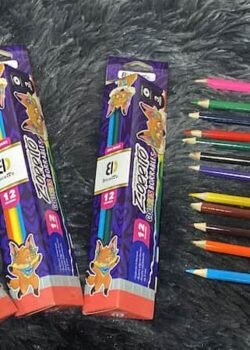 Lápices de Colores Borrables