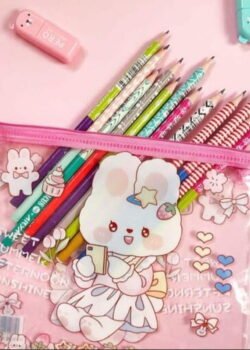 Lapicera Transparente