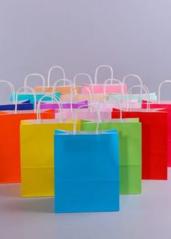 Bolsa de Regalo Chica - 22x27x11 cm