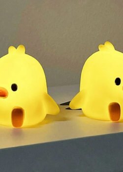 Lámpara de Mesa Portátil de Pato