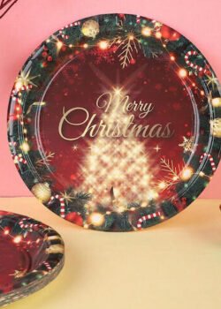 Platos Navideños (varios modelos)