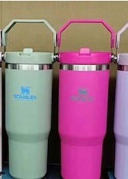 Termo Stanley con Asa