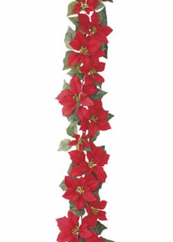 Serie led de Noche Buenas