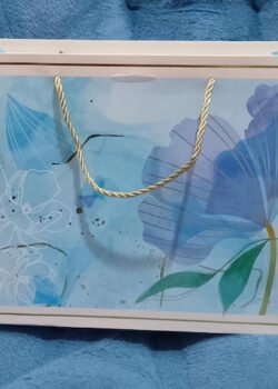 Bolsa de Regalo Mediana FD-1313A