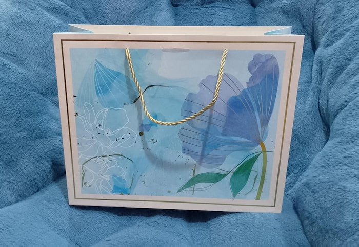 Bolsa de Regalo Mediana FD-1313A