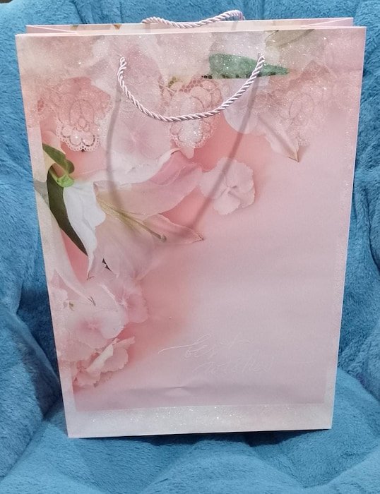 Bolsa de Regalo Grande FD-1314B