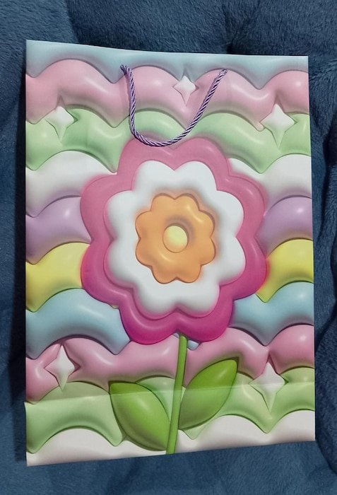 Bolsa de Regalo Grande FD-1314B - Imagen 2