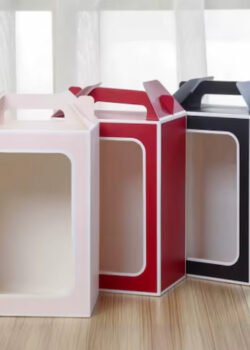 Caja Grande con Transparente