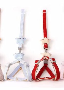 Correa c/ Pechera p/Mascotas Chico #15008