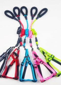 Corea P/ Mascota #15019