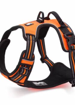 Pechera para Mascota #15043