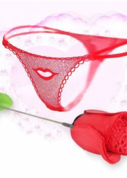 Regalo Creativo Lencería y Rosa