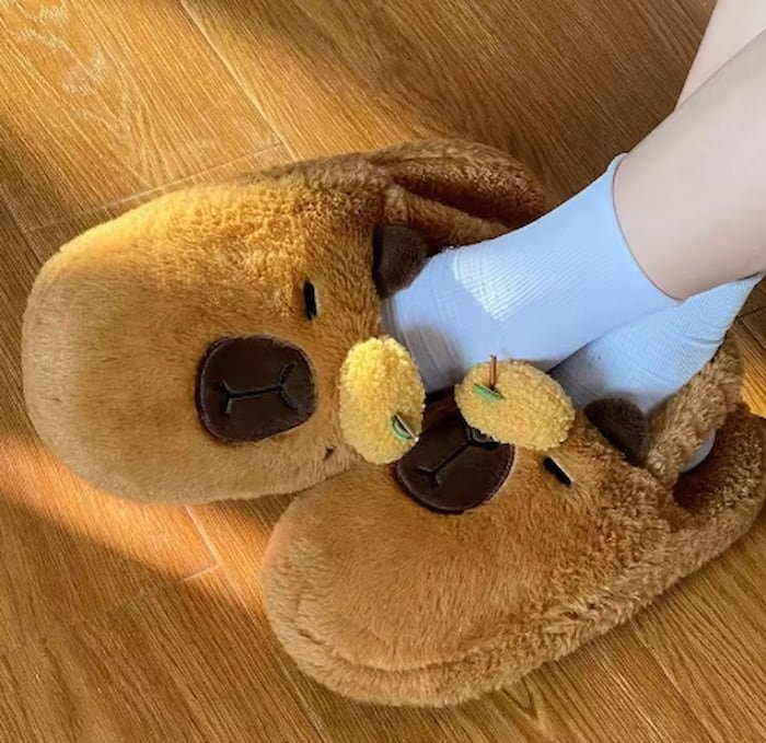 Pantuflas de Capibara