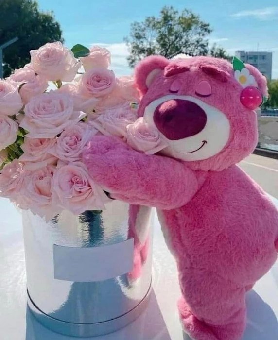 Peluche Lotso - Imagen 2