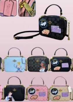 Bolsa Coach de Mano P/ Dama