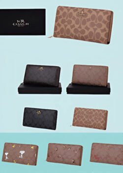 Cartera Coach un Cierre