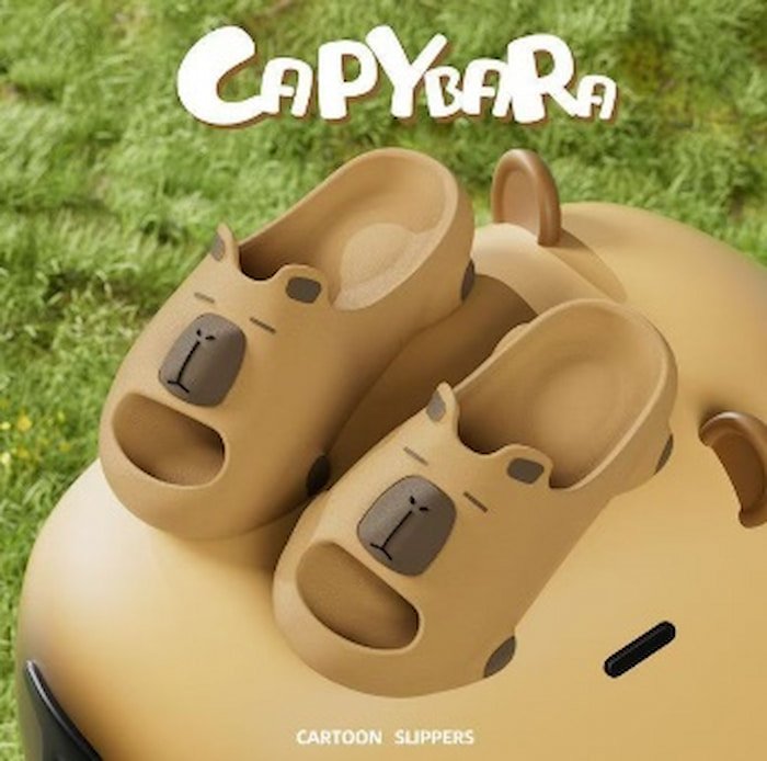 Sandalia Capibara