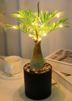 Palmera Led
