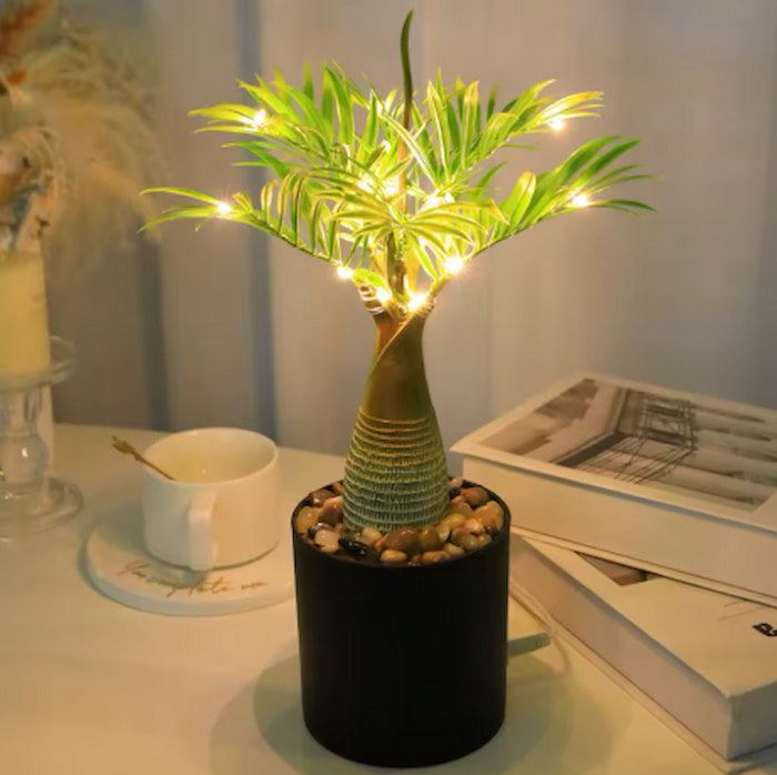 Palmera Led