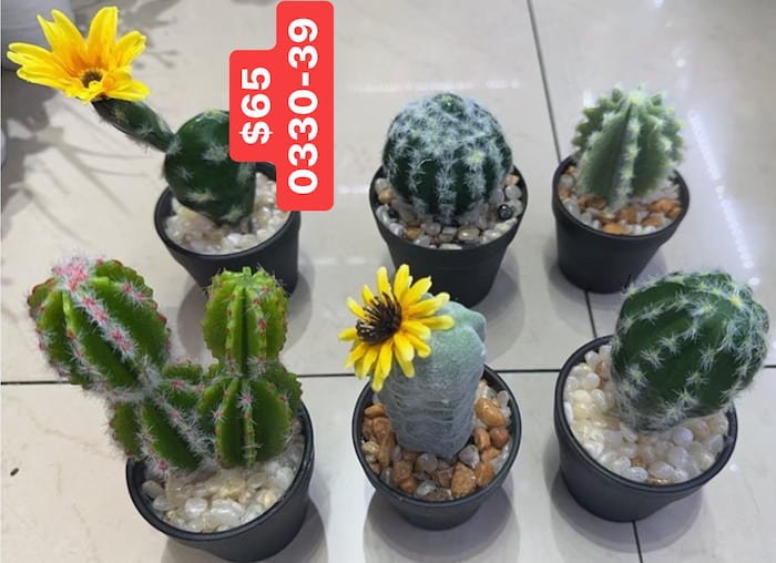 Cactus Artificiales
