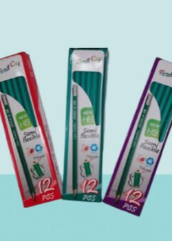 Lápiz Semi Flexible 12 pz