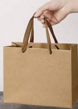 Bolsa de Papel Kraft  c/u