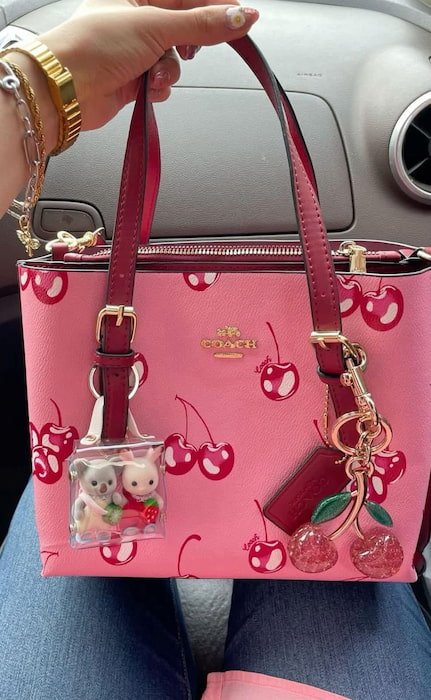 Bolsa de Dama Cherry Premium