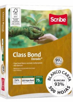 Paquete de Hojas Blancas 500 hojas