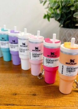 Llavero / Pastillero Stanleyi