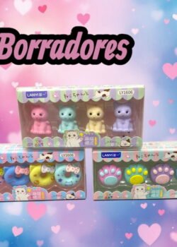 Set de Borradores 4 pz