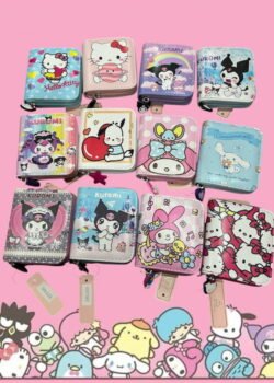 Cartera Sanrio Uno Cierre