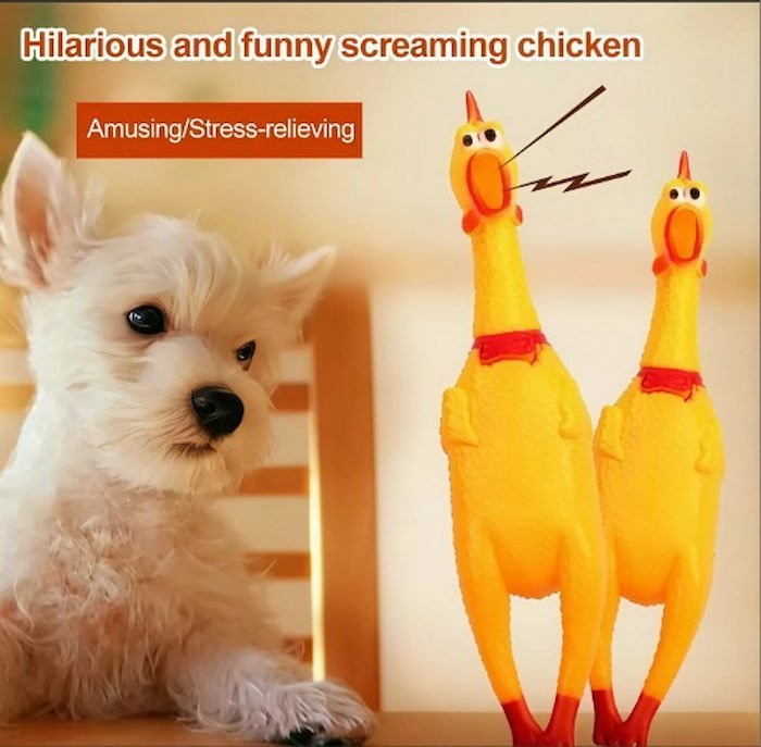 Pollo Chillón - Imagen 2