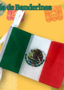 Banderines Patrio