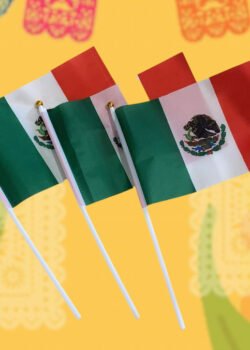 Bandera de Tela Tricolor 20x14 cms C/U