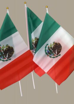 Bandera de Tela Tricolor 44x30 cms C/U