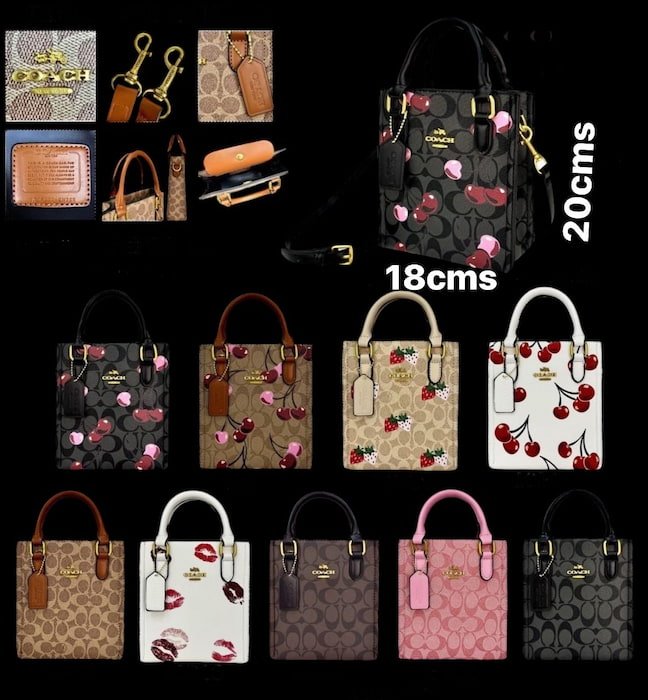 Bolsa de dama Coachh - Imagen 2