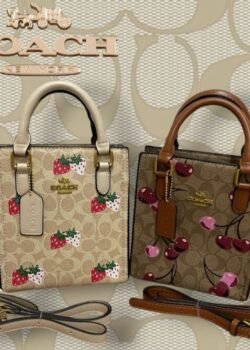 Bolsa de dama Coachh