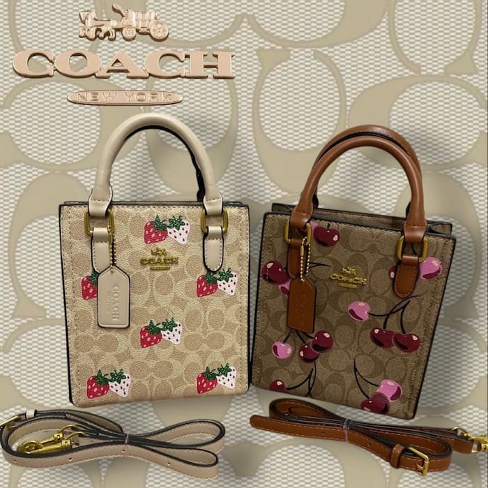 Bolsa de dama Coachh