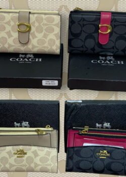 Cartera  Coachh
