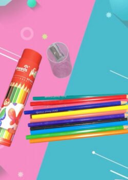 Bote de Colores 12 pz