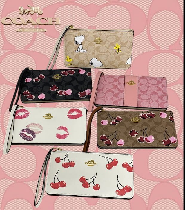 Cartera Muñequera Coachh - Imagen 2